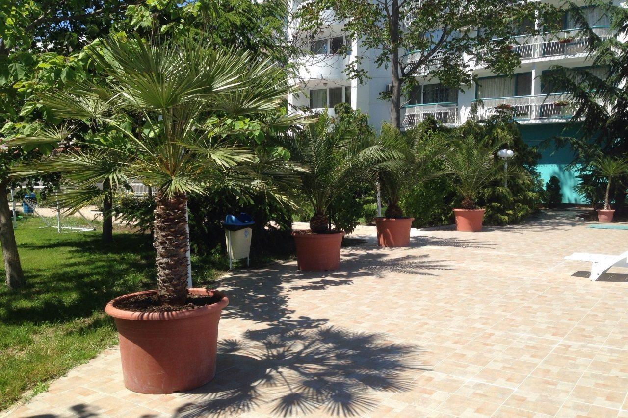 Zefir Hotel Sunny Beach Ngoại thất bức ảnh